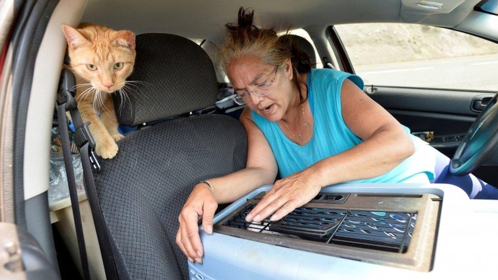 Lytton resident Martha sits in the car with her cats Tigger and Kona, after leaving her home