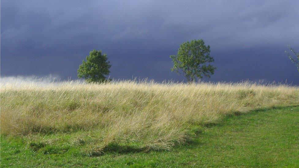 Fryent Country Park