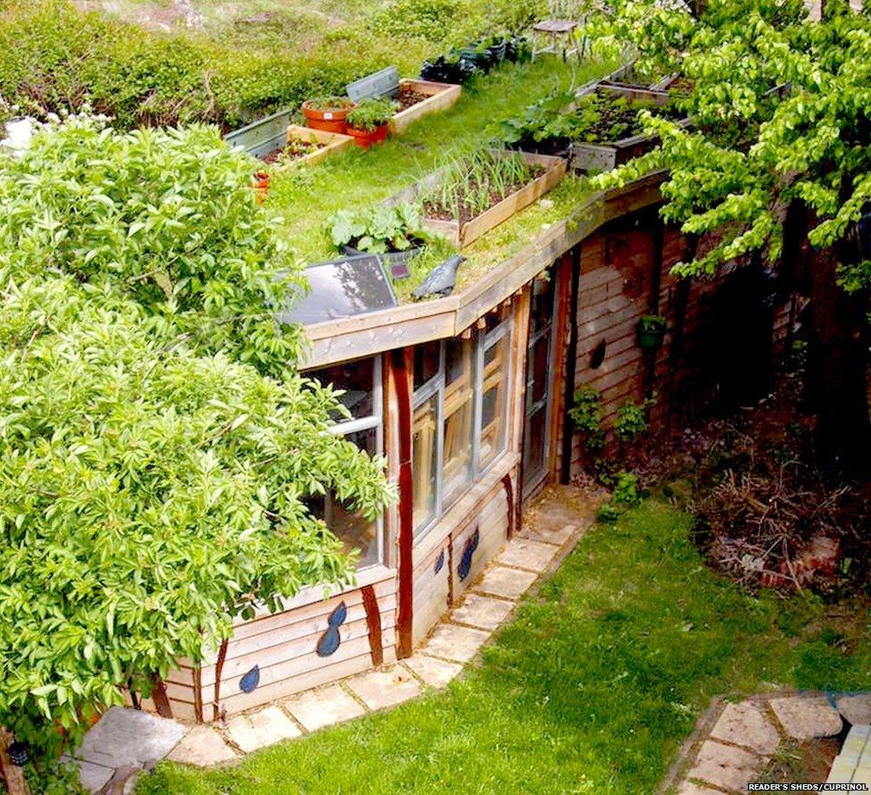 Allotment Roof Shed by Joel Bird