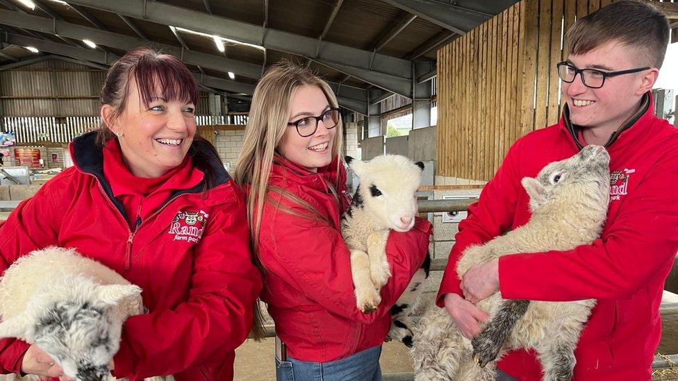 Staff at Rand Farm Park with lamb triplets