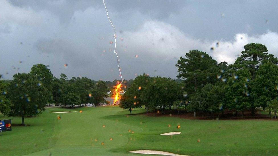 Lightning strikes a tree at East Lake Golf Club in Atlanta