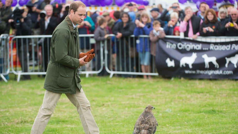 The Duke of Cambridge at the show in 2013