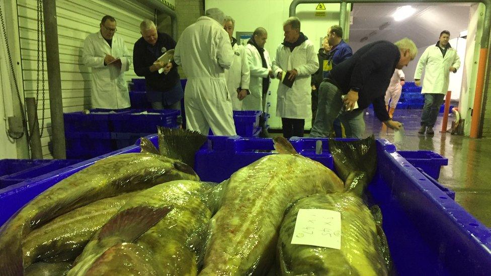 Boxes of fish in a fish market