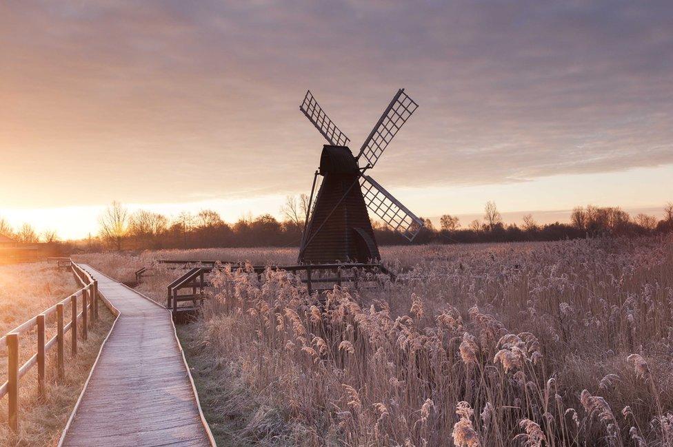 A frosty sunset at Wicken Fen