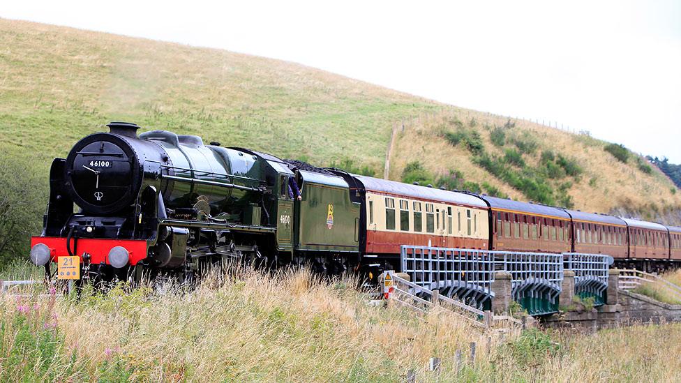 Steam train trips