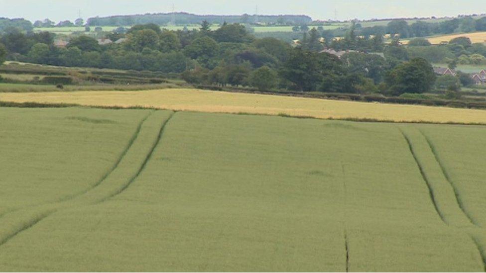 Northumberland farmland