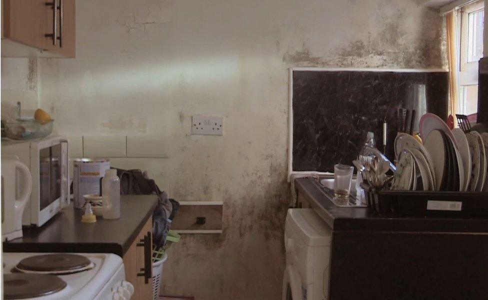 A kitchen with mould on the walls