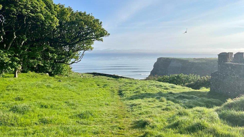 Green fields near cliffs on the north coast of Northern Ireland