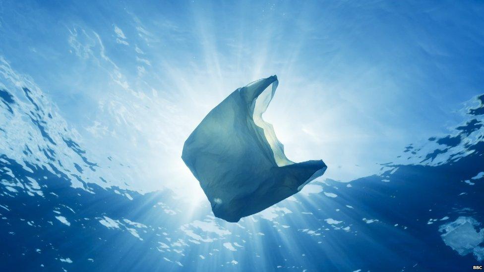 A photo of a carrier bag in water under sea