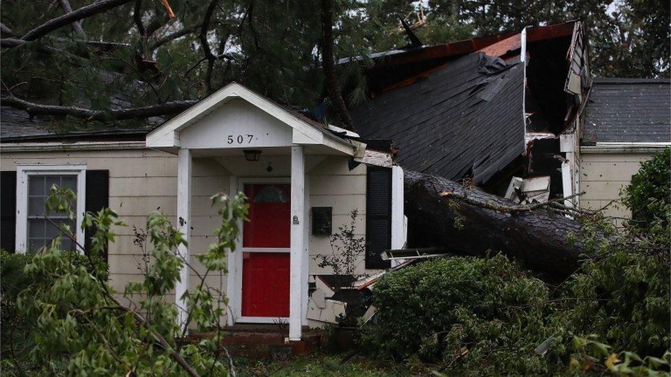 A home is damaged after a large tree fell on it