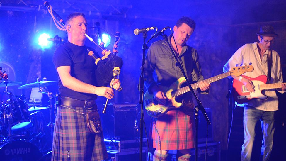 Peatbog Faeries 2014