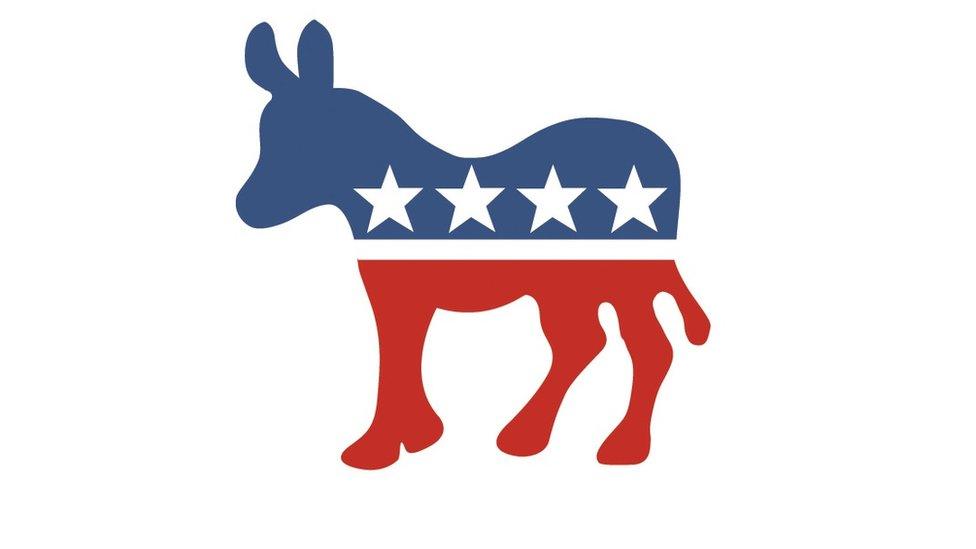 Democratic donkey