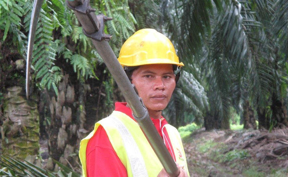 Sime Darby palm oil worker