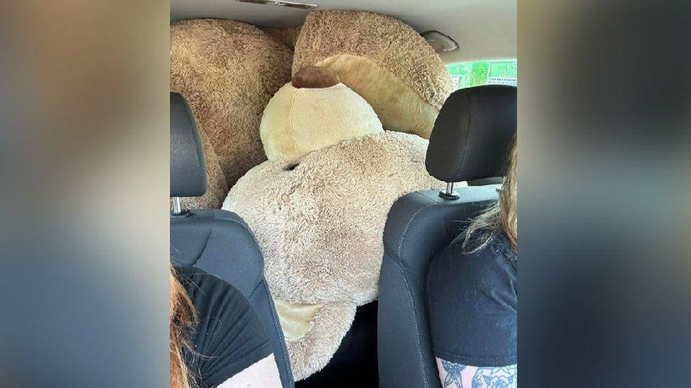 The bear squeezed into a Seat Leon