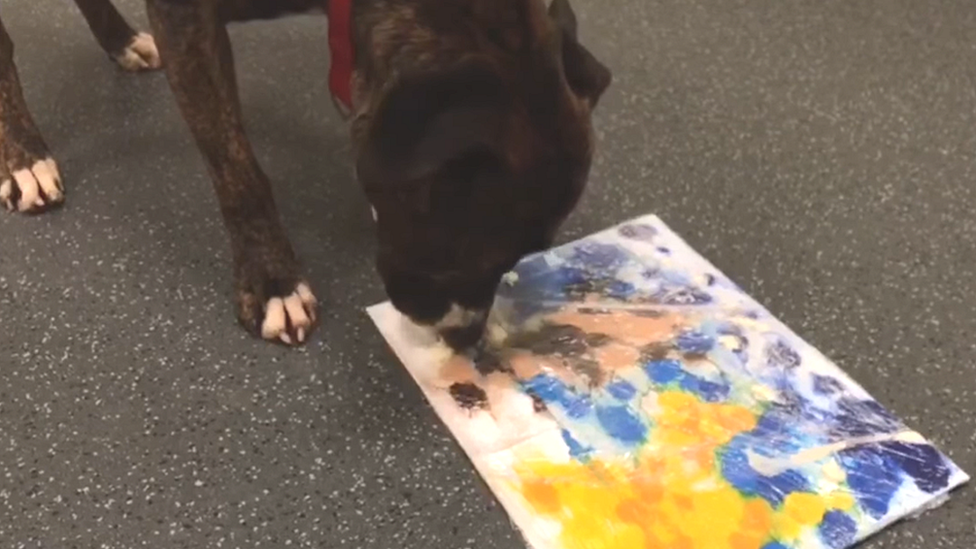 Banksy the dog painting