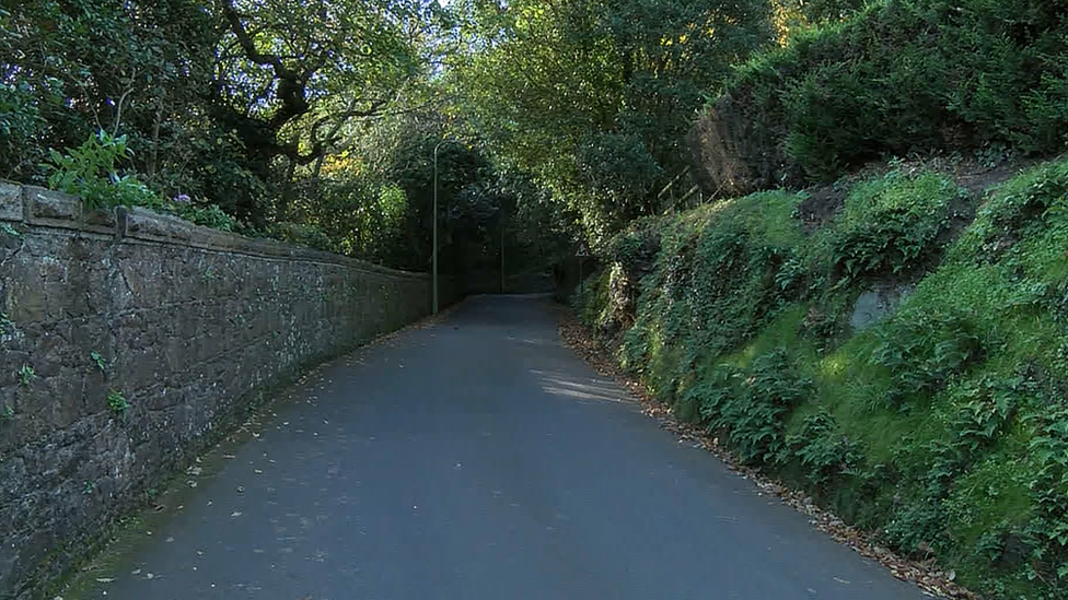 Bushes on side of road in Jersey