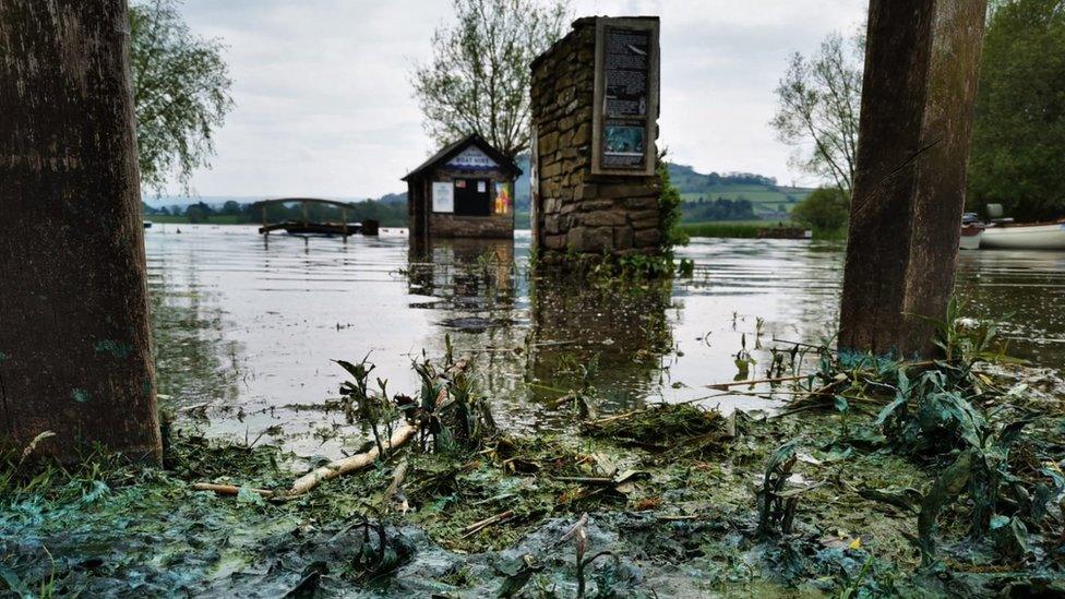 Llangors lake filled with blue-green algae