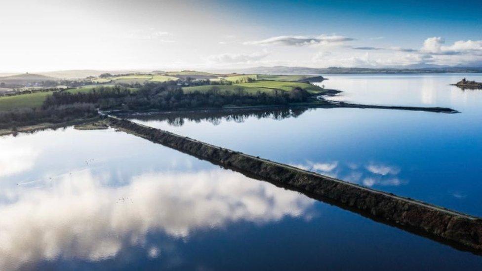 Inch Wildfowl Reserve