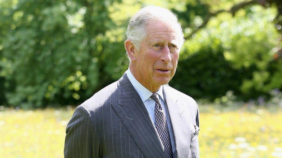 King Charles standing in a sunny field at Highgrove in Gloucestershire