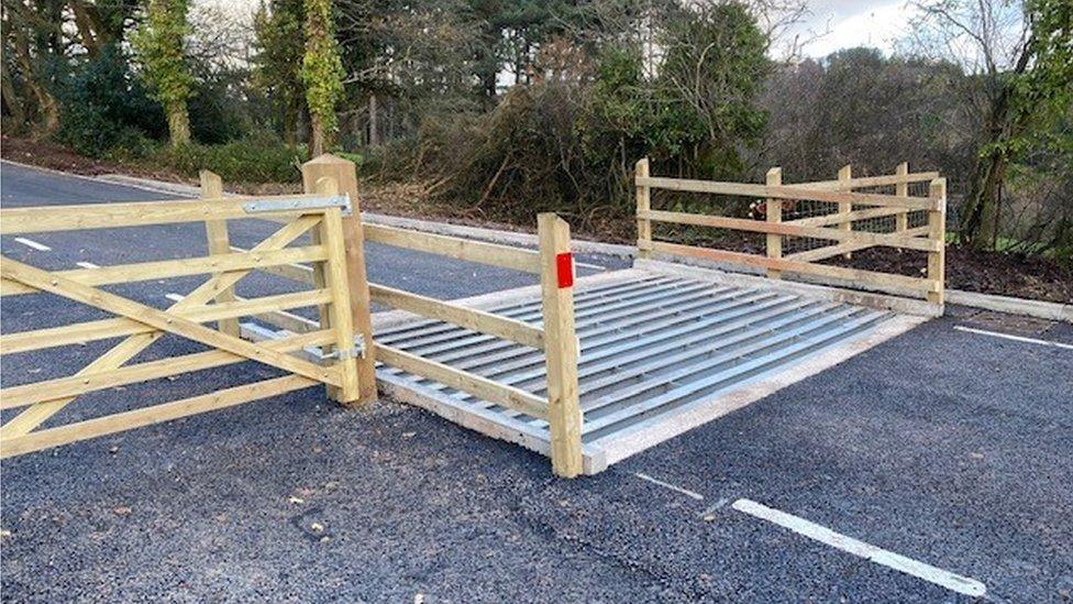 Cattle grid near Minehead, Somerset