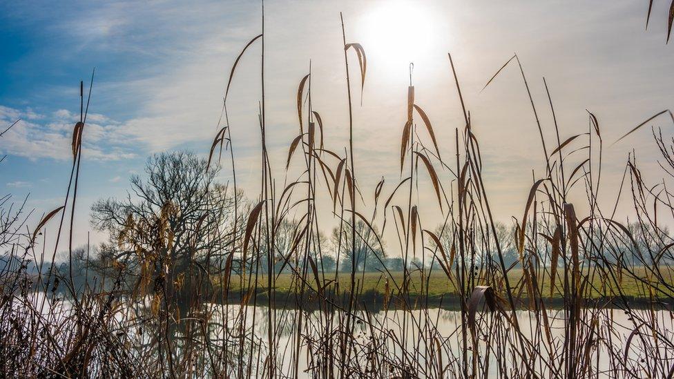 the Thames at Farmoor