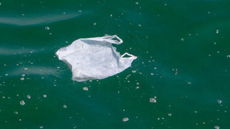 plastic bag floating in sea