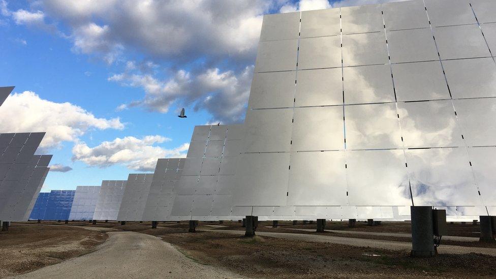 A picture of solar panels at the Gemasolar energy plant in southern Spain