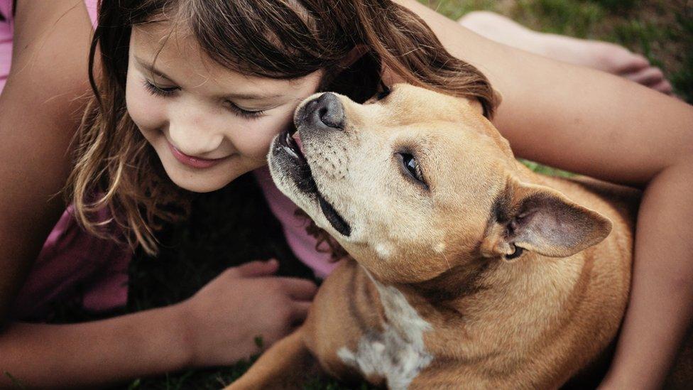 girl-cuddling-Staffordshire-Bull-Terrier.