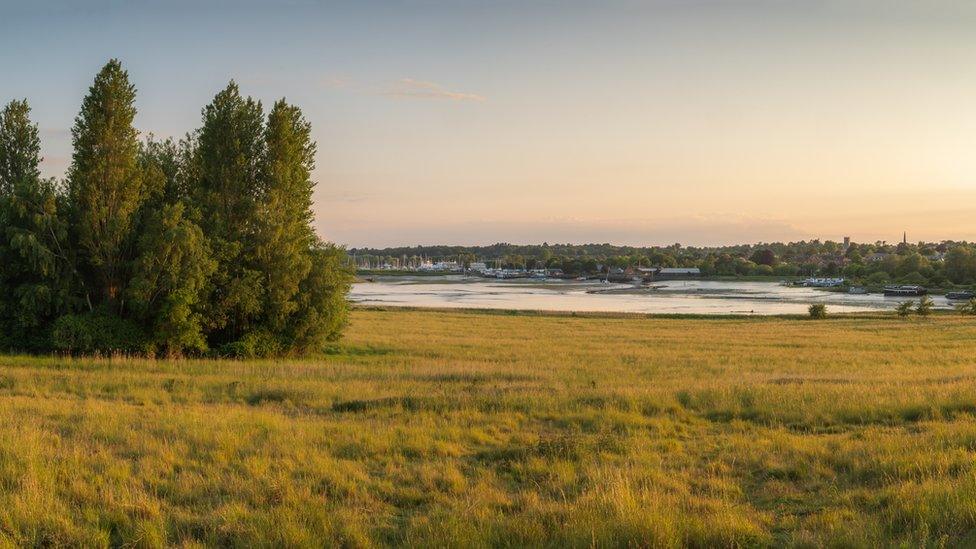 Riverside views at Sutton Hoo