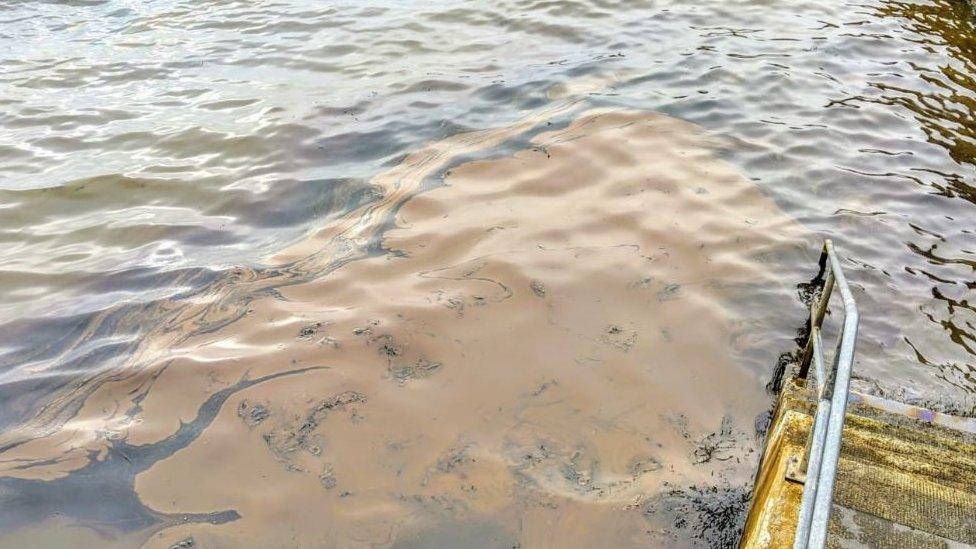 oil at Limekilns beach