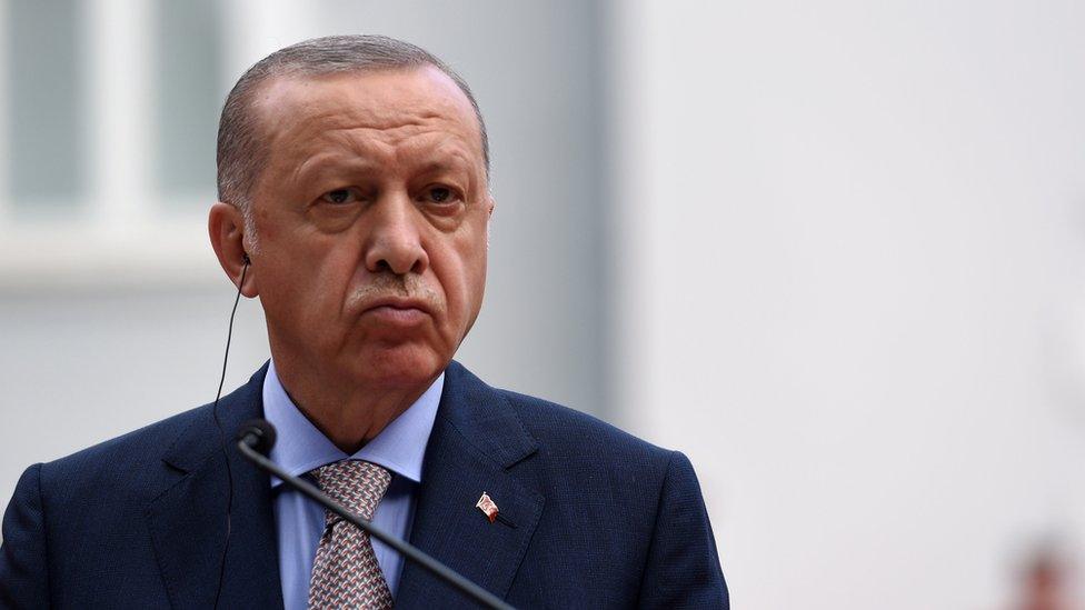 Turkish President Recep Tayyip Erdogan speaks during a press conference in Cetinje, Montenegro (28 August 2021)