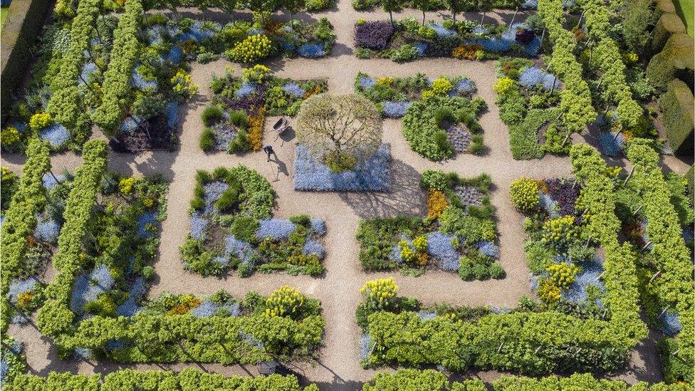 An aerial photo of a garden filled with flowers and trees in an angular design