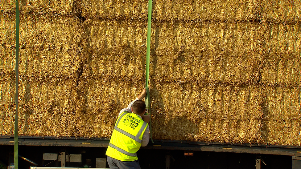 Man attaching bales to lorry