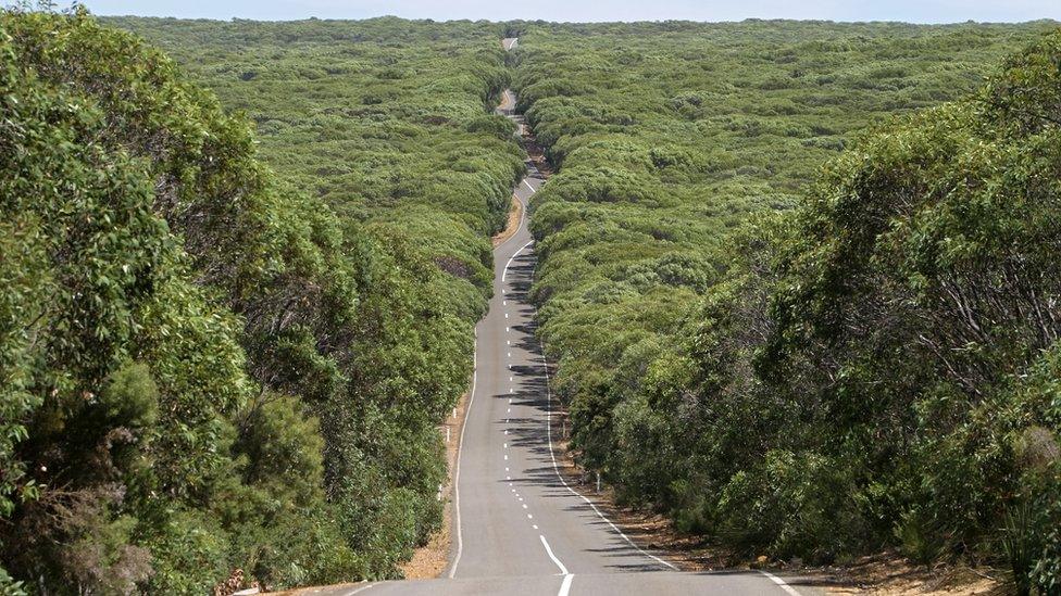 Long winding road runs through Flinders National Park on Kangaroo Island