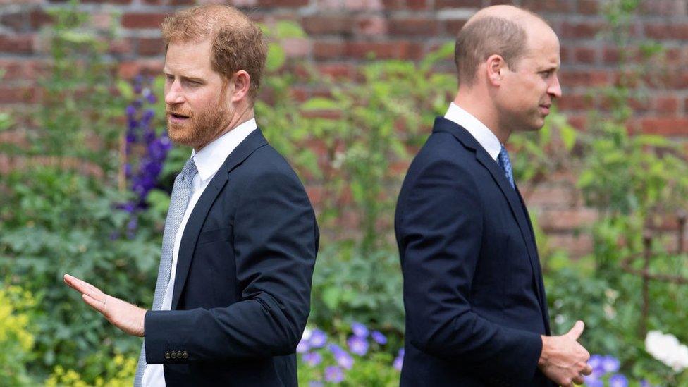 harry-and-william.