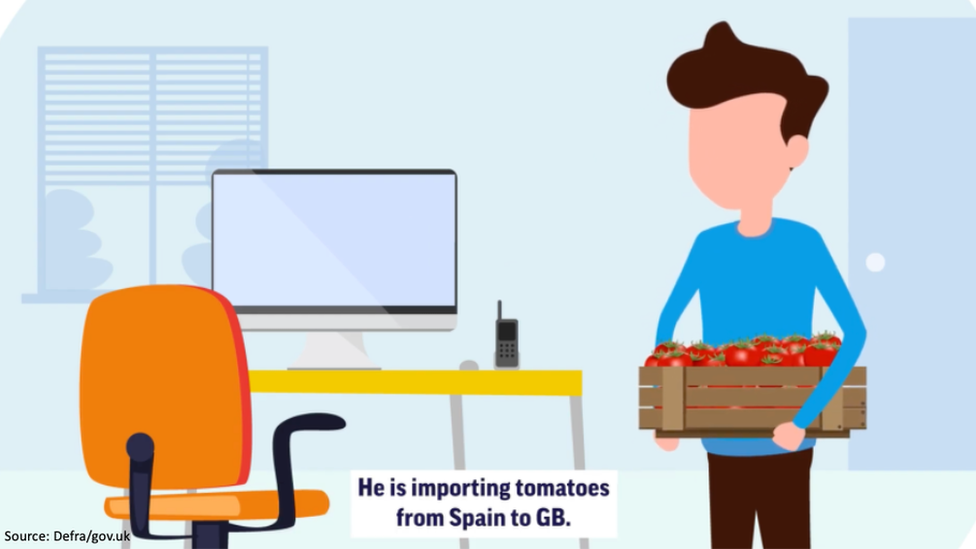 A screenshot of a frame from the government's animated video showing a character called Ali who imports tomatoes from Spain