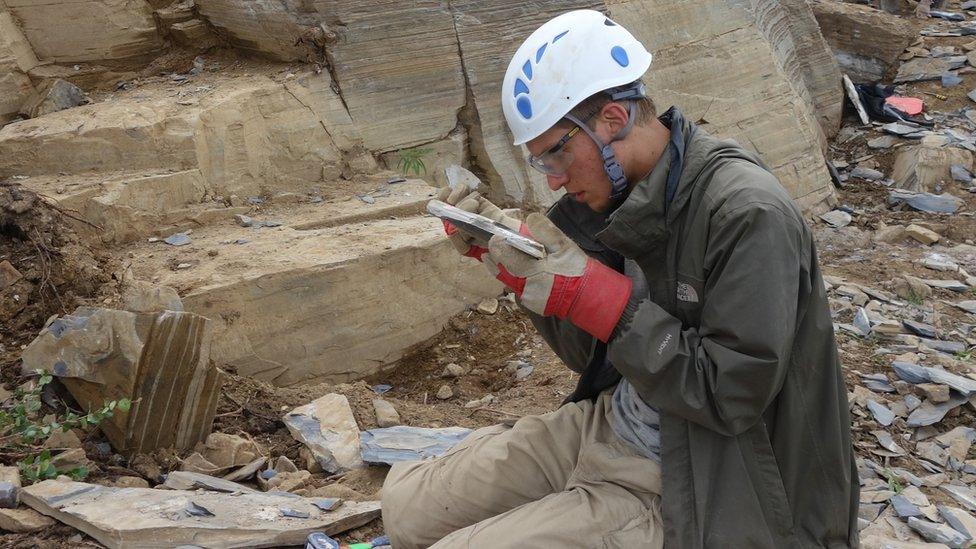 The fossils were found in the Canadian rockies