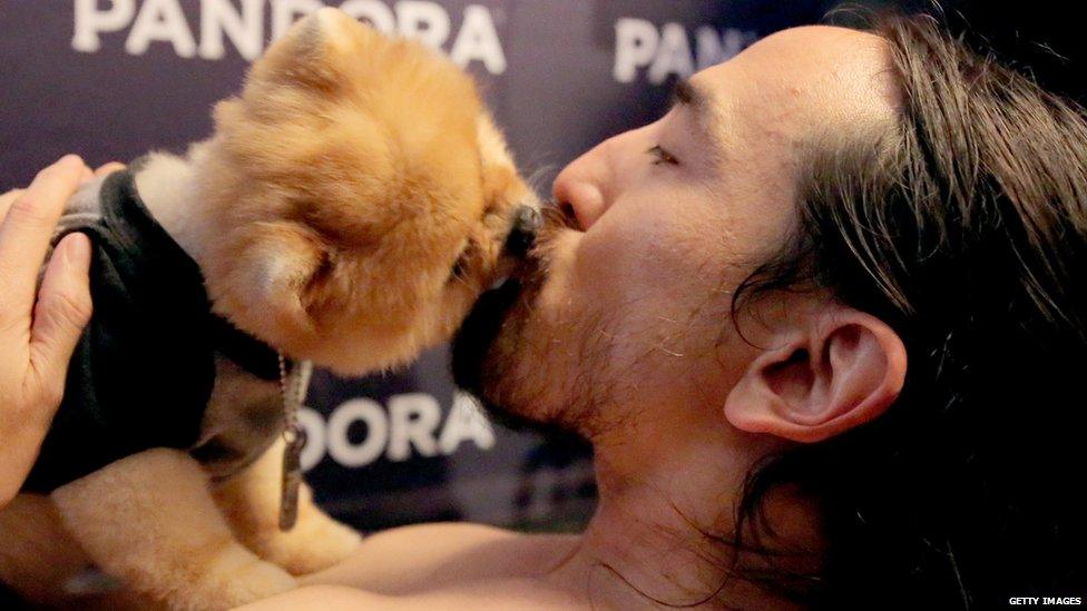 Steve Aoki and a puppy