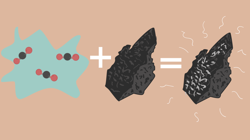 Mineralisation process, infographic