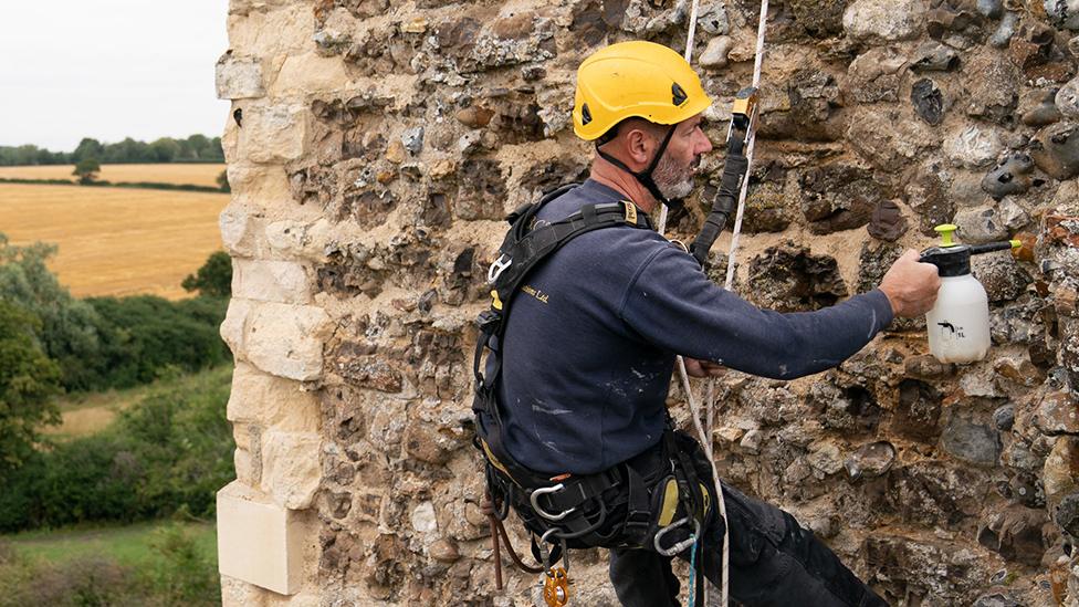 Restoration at Framlingham Castle