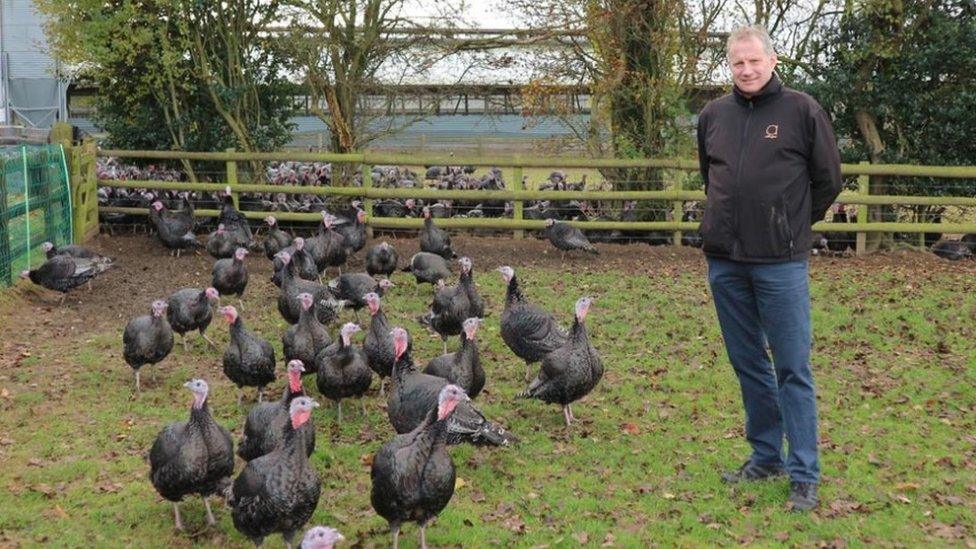 Rod Adlington at the farm in Coventry with turkeys