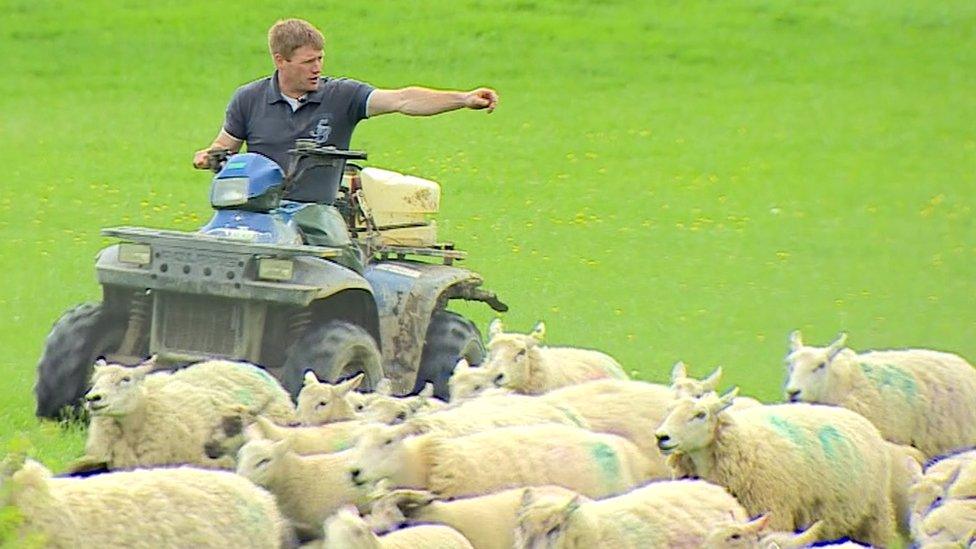 Farmer and sheep