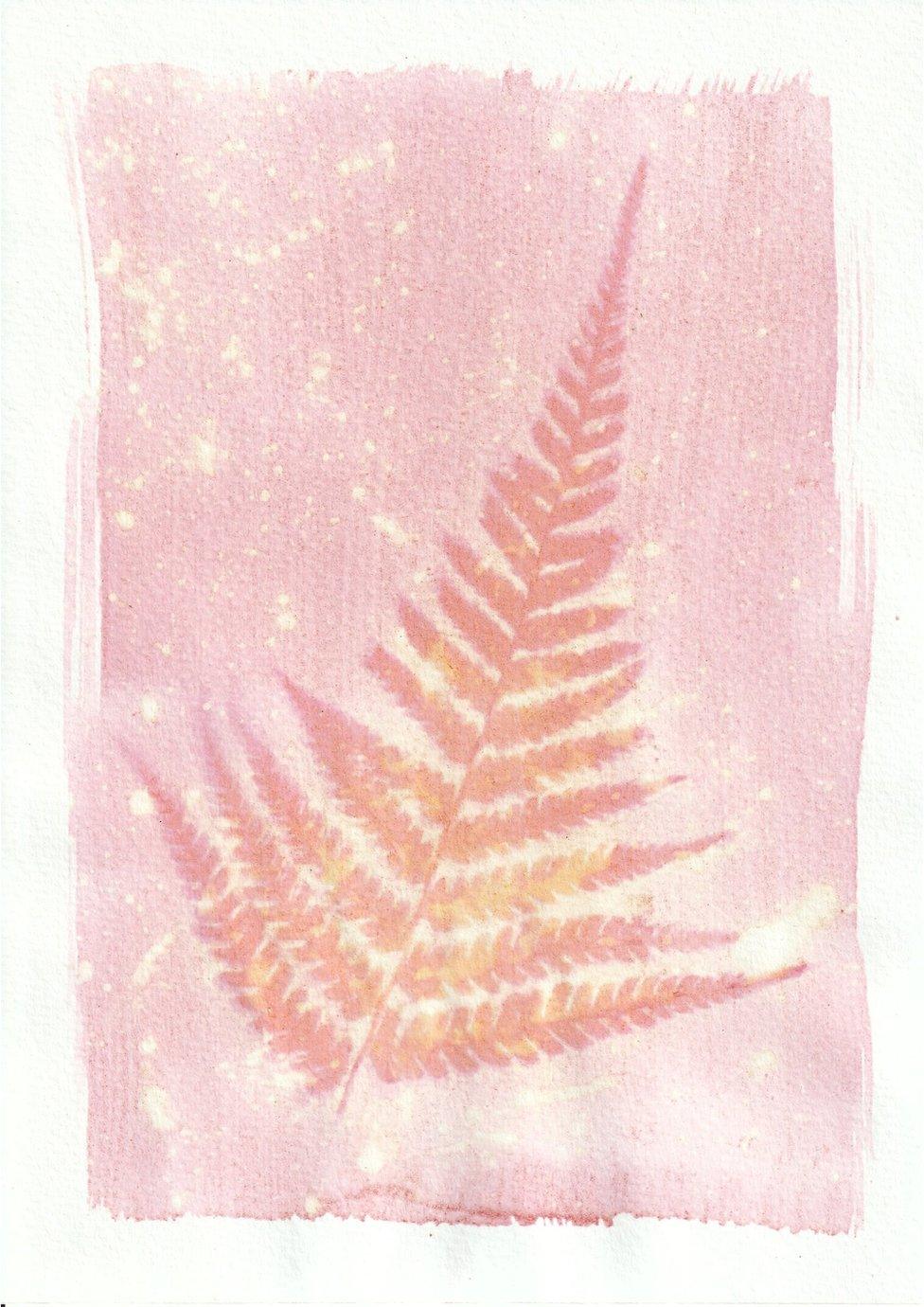 An anthotype print of a pink and orange leaf