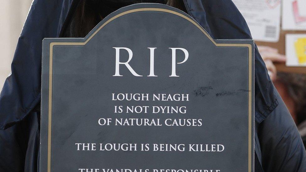 A demonstrator holds up a Lough Neagh 'headstone'