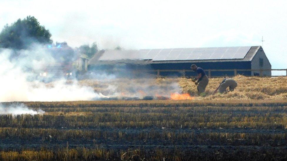 Firefighters tackling field fire in Ongar