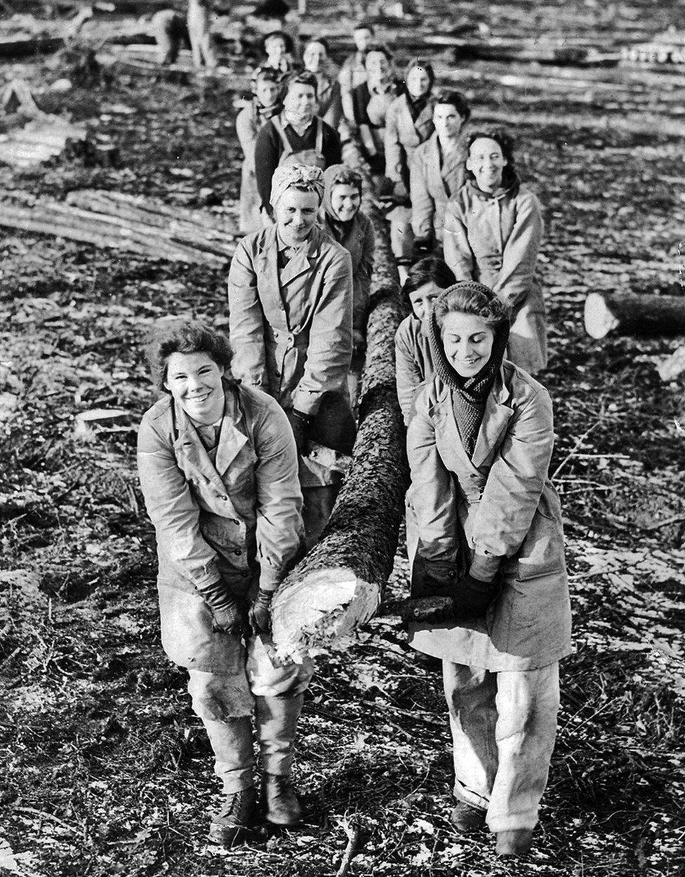 Lumberjills