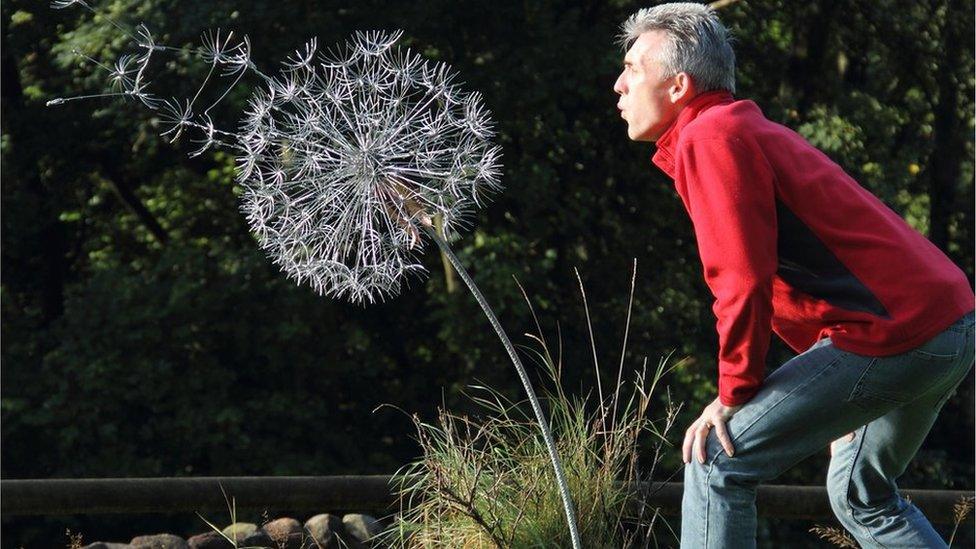 Robin and dandelion sculpture