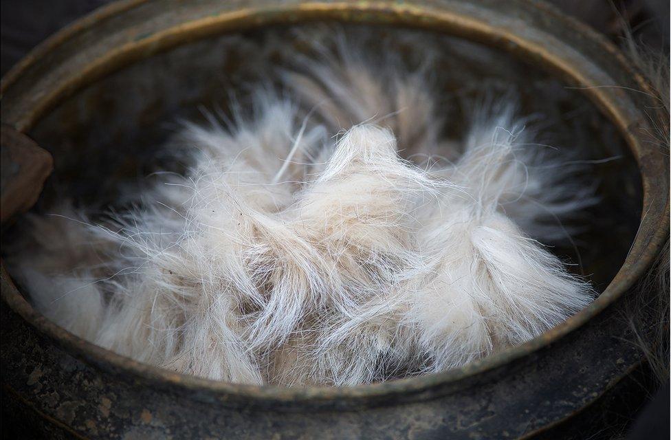 A bowl of Cashmere goat hair