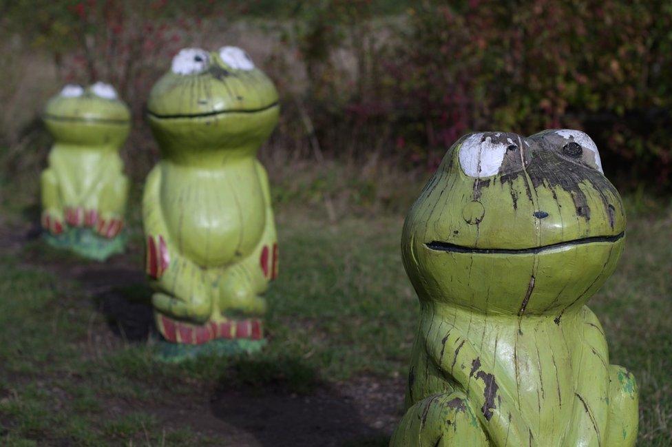 Wooden frogs