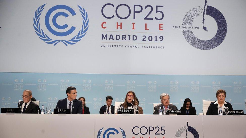 COP 25